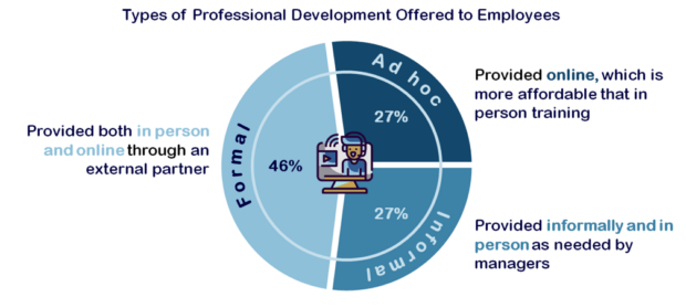 Types of professional development pie chart